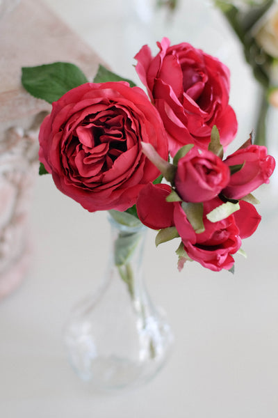 Garden Rose Single  Stem（Spray）