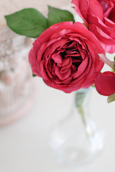 Garden Rose Single  Stem（Spray）
