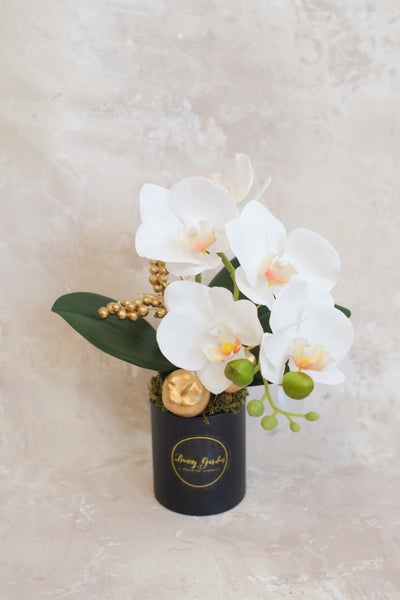 小盤蘭花 Mini Orchid Pot