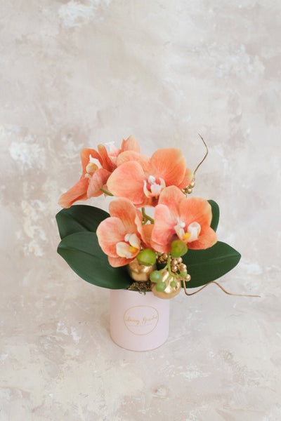 小盤蘭花 Mini Orchid Pot