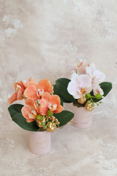 小盤蘭花 Mini Orchid Pot