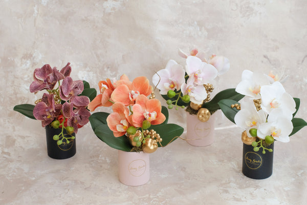 小盤蘭花 Mini Orchid Pot