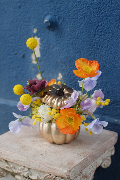 小南瓜花器插花材料包 Pumpkin Flower Pack