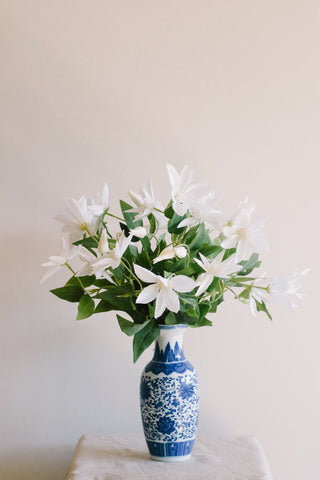 "Balzac" Clematis in Porcelain