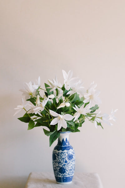 "Balzac" Clematis in Porcelain