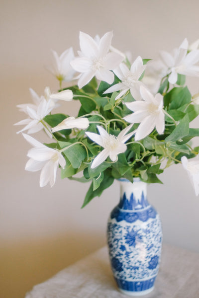 "Balzac" Clematis in Porcelain